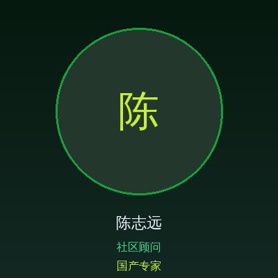 国产陈志远